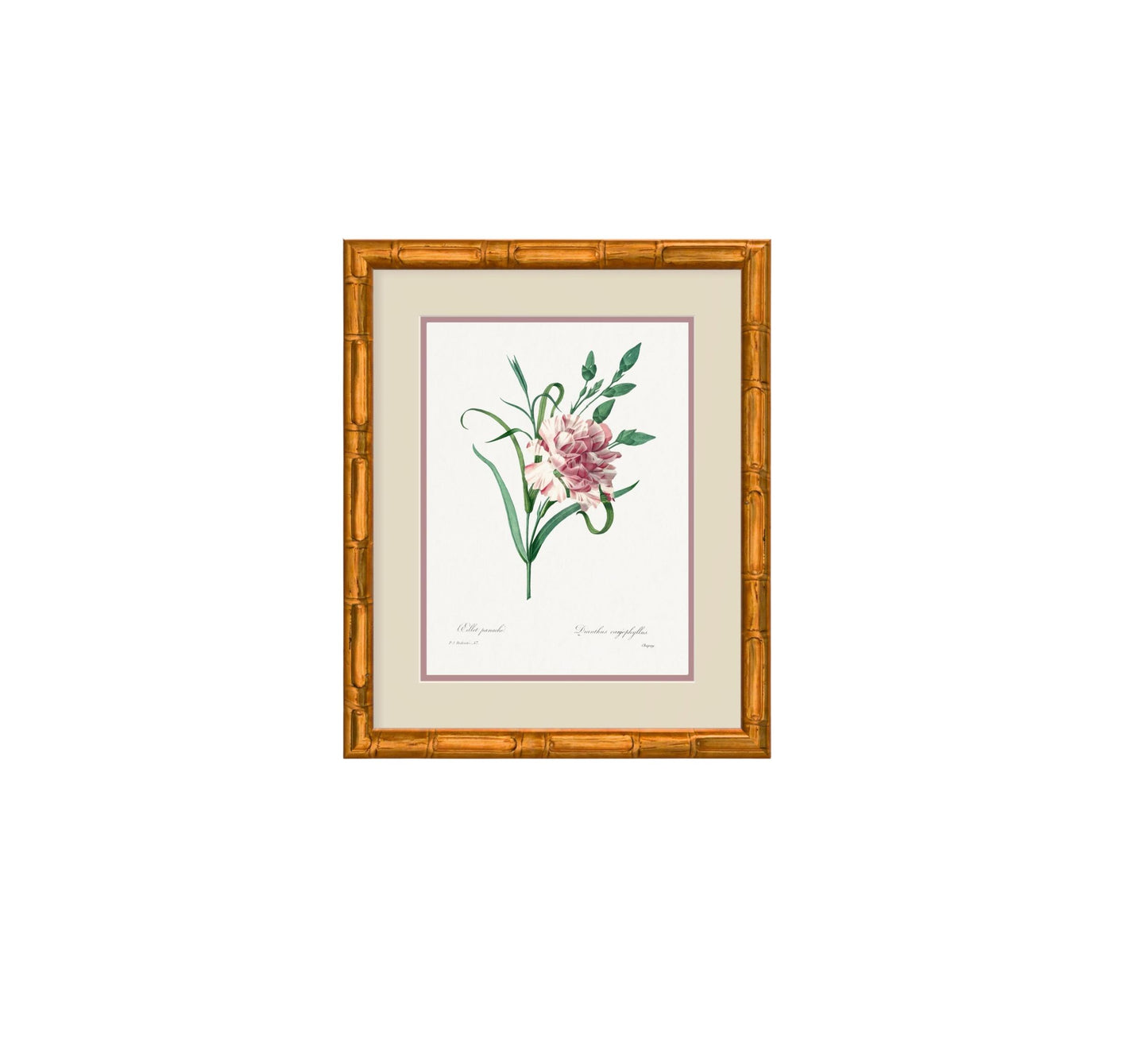 The Pastel Botanical Collection