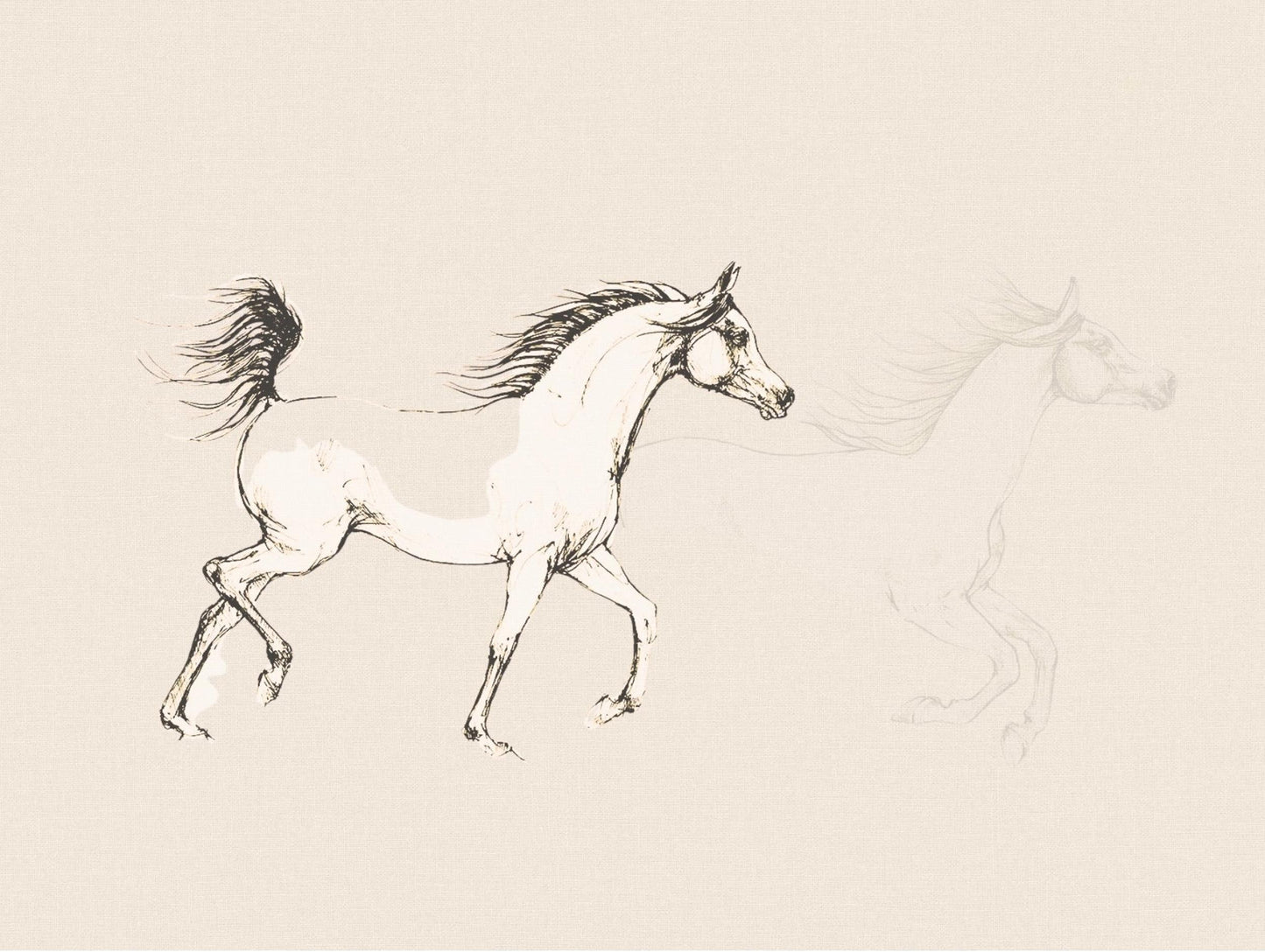 Horse Sketch Print
