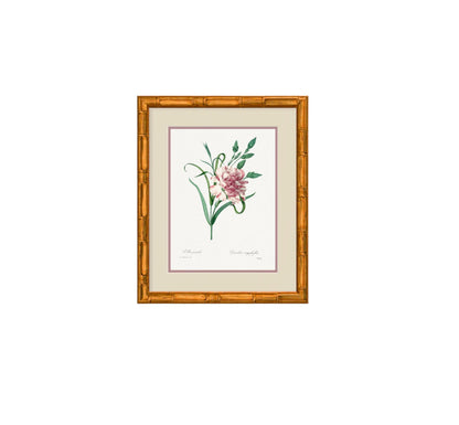 The Pastel Botanical Collection