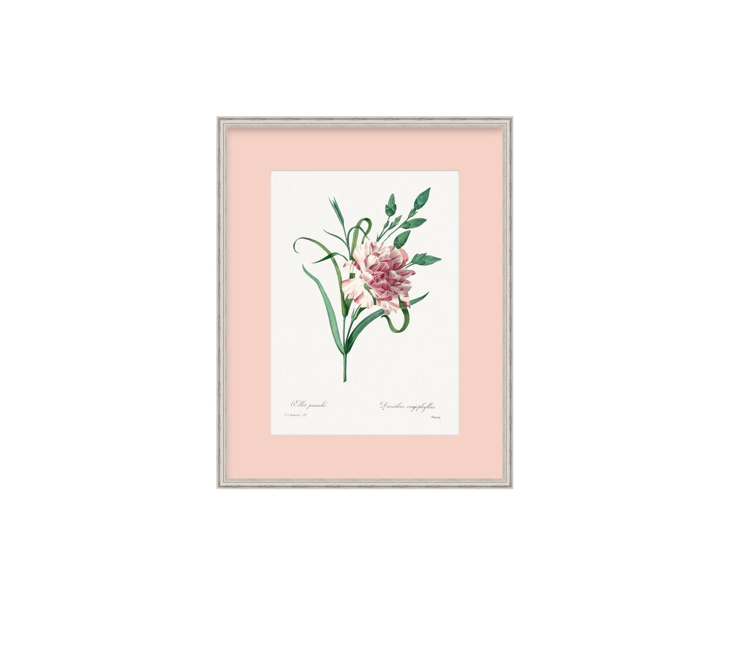 The Pastel Botanical Collection