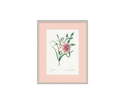 The Pastel Botanical Collection