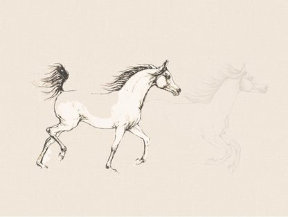 Horse Sketch Print