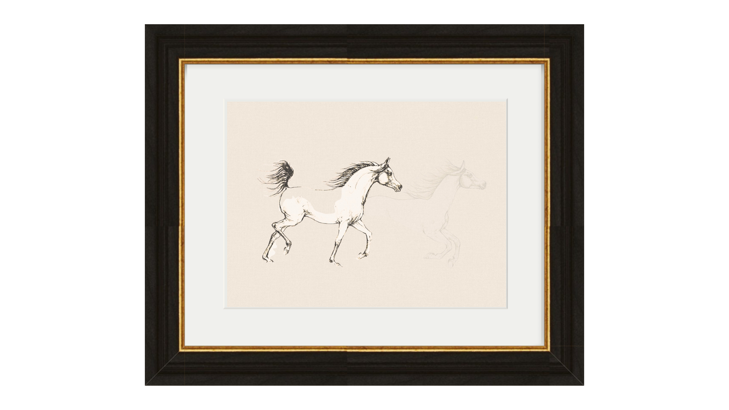 Horse Sketch Print