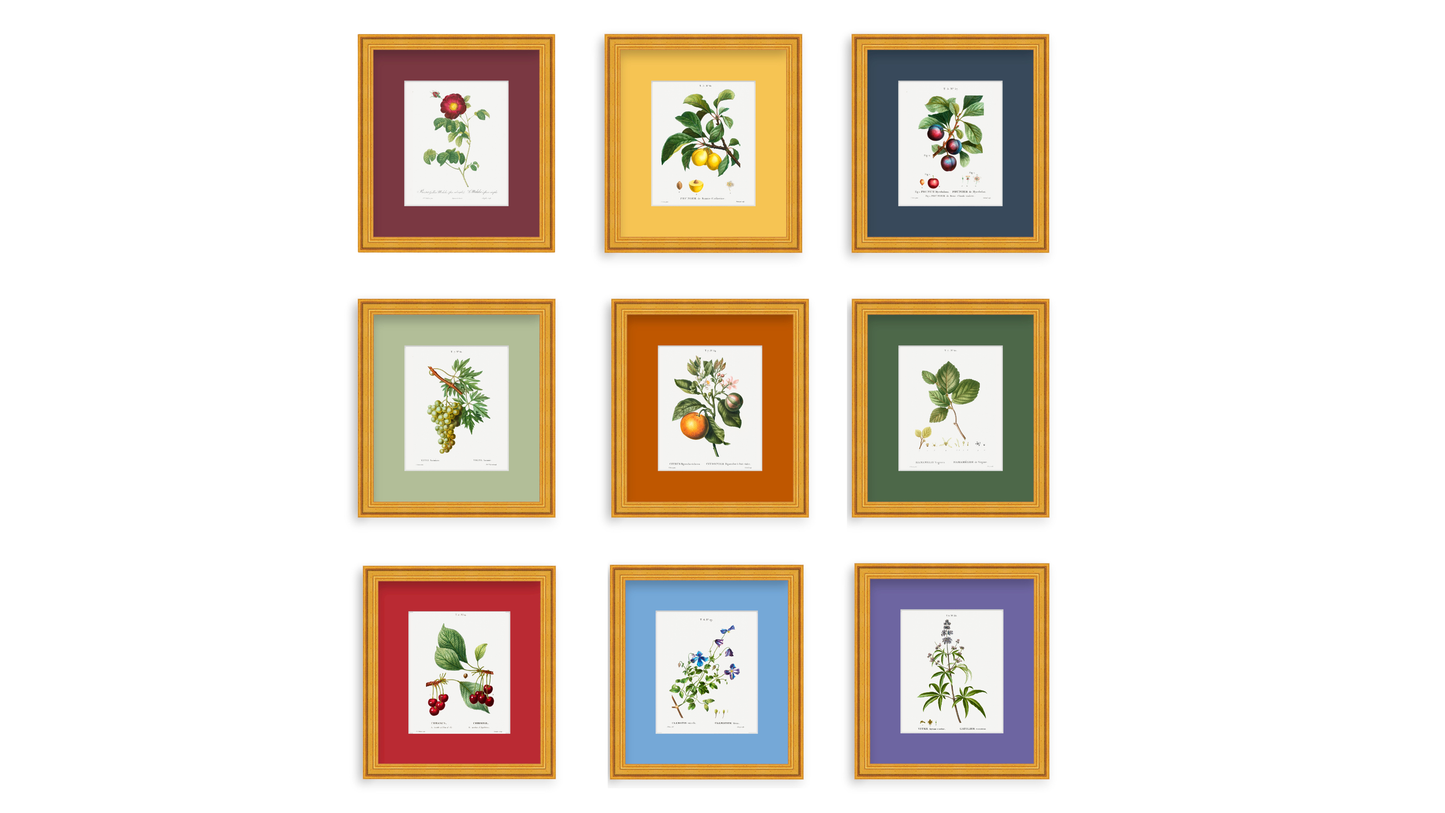 Fruit Botanical Collection
