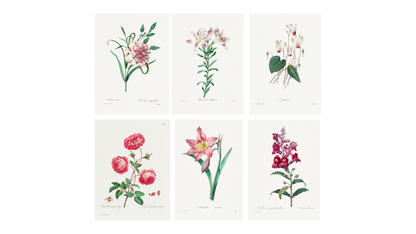 The Pastel Botanical Collection