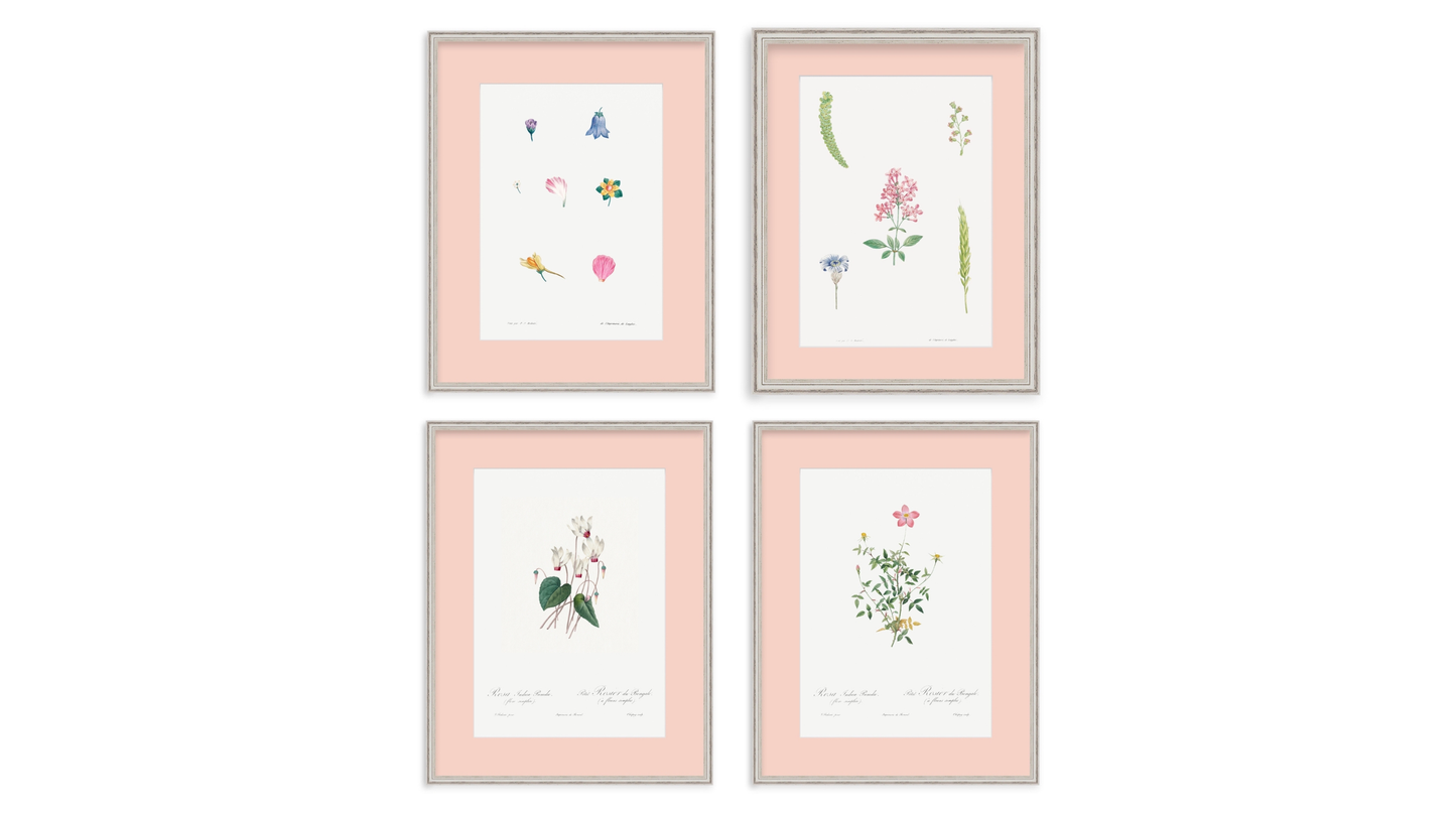 Botanical print framed - Pink theme and silver silver frame