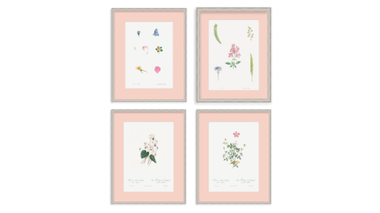 Botanical print framed - Pink theme and silver silver frame